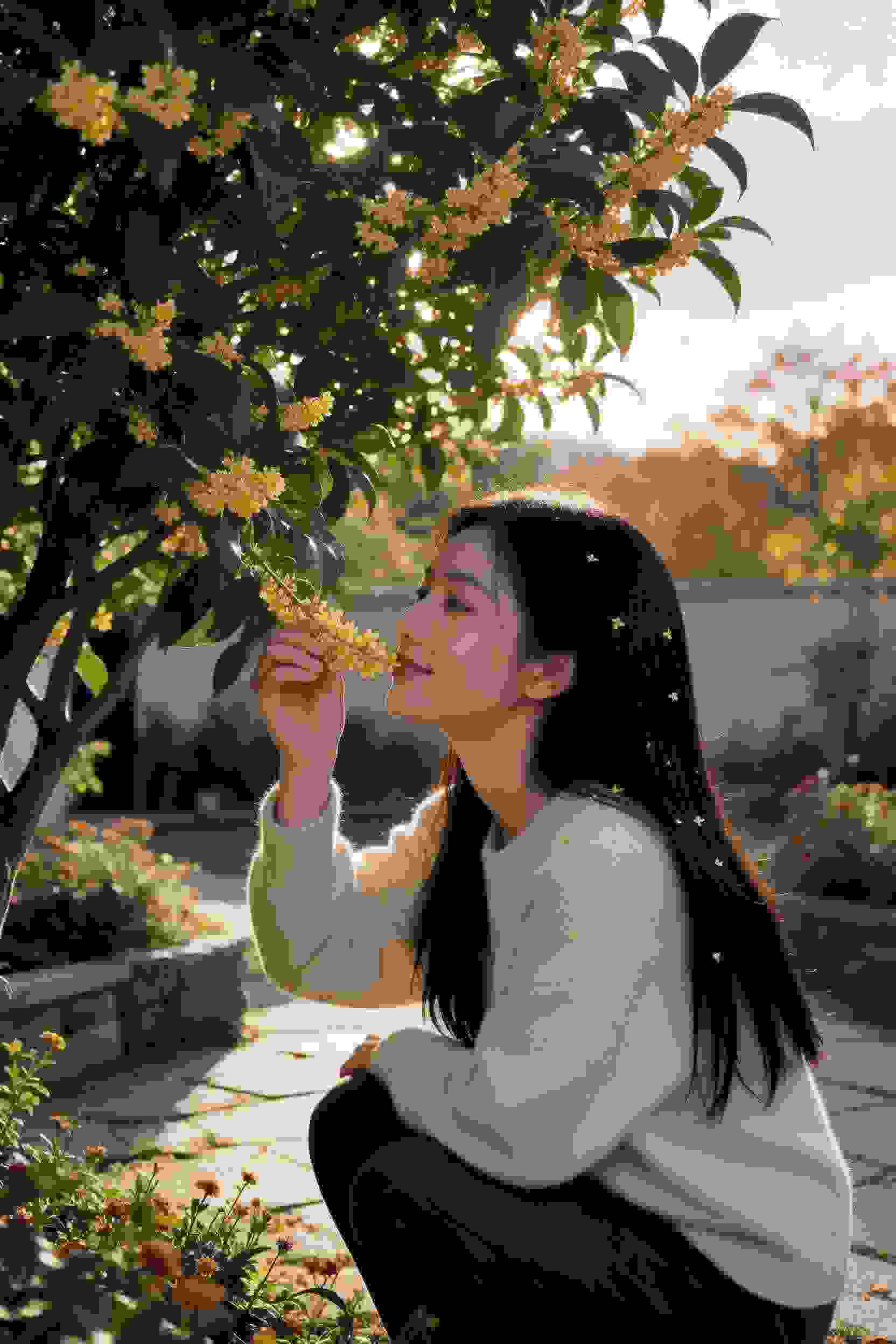 赘婿